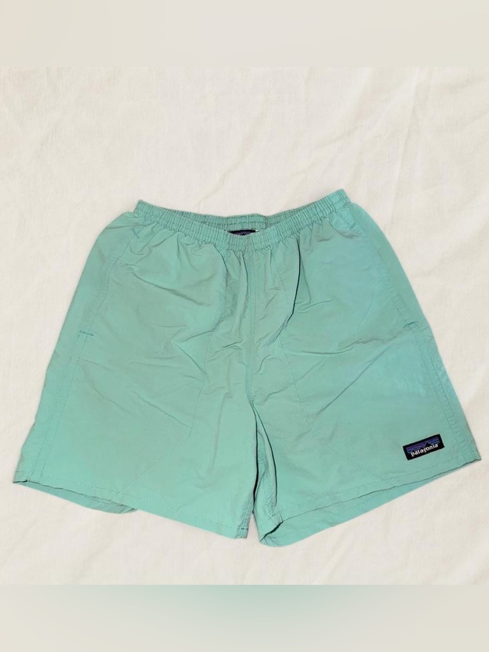 Patagonia Teal Shorts